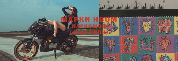 шишки Беломорск
