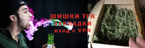 шишки Баксан