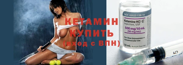 шишки Беломорск