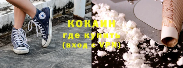 шишки Беломорск