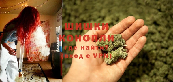 шишки Беломорск
